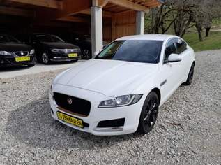 XF Prestige Finanzierung ohne Anzahlung möglich, 16990 €, Auto & Fahrrad-Autos in 3345 Gemeinde Göstling an der Ybbs