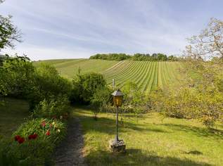 Einzellagenjuwel - 2.500m2 Grundstück zwischen den Weinreben am Nußberg, 2647500 €, Immobilien-Grund und Boden in 1190 Döbling Einzellagenjuwel - 2.500m2 Grundstück zwischen den Weinreben am Nußberg, 2647500 €, Immobilien-Grund und Boden in 1190 Döbling