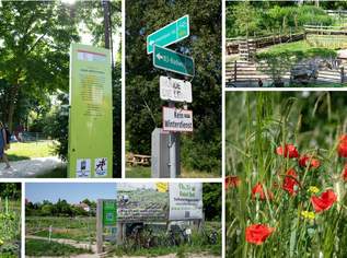 Im Norbert zu wohnen, heißt angekommen zu sein! Ihre Oase in Wien: Ruhige Sackgassenlage und moderner Wohnkomfort vereint, 305000 €, Immobilien-Wohnungen in 1210 Floridsdorf Im Norbert zu wohnen, heißt angekommen zu sein! Ihre Oase in Wien: Ruhige Sackgassenlage und moderner Wohnkomfort vereint, 305000 €, Immobilien-Wohnungen in 1210 Floridsdorf