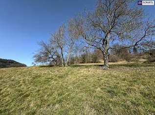 7 Parzellen verfügbar - Tolles Baugrundstück am Sonnenhang in Prenning bei Deutschfeistritz – 3.700 m², aufteilbar in 7 Parzellen, 68000 €, Immobilien-Grund und Boden in 8121 Prenning