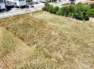 immo-live! Baugrund in Traismauer, 65000 €, Immobilien-Grund und Boden in 3133 Traismauer immo-live! Baugrund in Traismauer, 65000 €, Immobilien-Grund und Boden in 3133 Traismauer