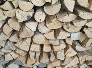 Buchenscheitln, 140 €, Haus, Bau, Garten-Hausbau & Werkzeug in 4860 Lenzing Buchenscheitln, 140 €, Haus, Bau, Garten-Hausbau & Werkzeug in 4860 Lenzing