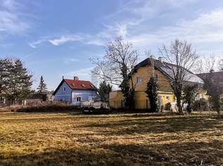 Preisreduktion! RIESIGES GRUNDSTÜCK - BIS ZU 4 REIHENHÄUSER MÖGLICH, 480000 €, Immobilien-Grund und Boden in 2514 Katastralgemeinde Traiskirchen Preisreduktion! RIESIGES GRUNDSTÜCK - BIS ZU 4 REIHENHÄUSER MÖGLICH, 480000 €, Immobilien-Grund und Boden in 2514 Katastralgemeinde Traiskirchen