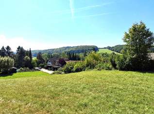 Top-Grundstück in Kogl - Grün, ruhig, und voller Möglichkeiten, 260000 €, Immobilien-Grund und Boden in 3443 Kogl