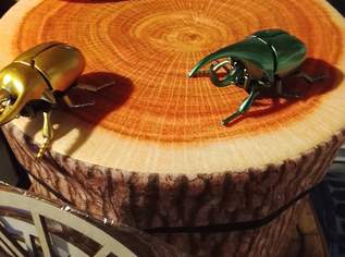 ZUM SPIELEN+SAMMELN !!