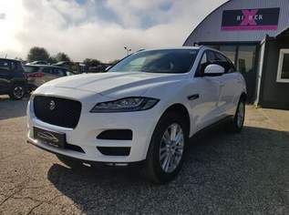 F-Pace Pure AWD 20d // AHV / LED / PANO / Kamera//, 17990 €, Auto & Fahrrad-Autos in 9020 Innere Stadt F-Pace Pure AWD 20d // AHV / LED / PANO / Kamera//, 17990 €, Auto & Fahrrad-Autos in 9020 Innere Stadt