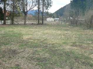Traumhaftes Baugrundstück in Neuberg an der Mürz: 883m² für Ihr Eigenheim!, 76821 €, Immobilien-Grund und Boden in 8692 Altenberg an der Rax Traumhaftes Baugrundstück in Neuberg an der Mürz: 883m² für Ihr Eigenheim!, 76821 €, Immobilien-Grund und Boden in 8692 Altenberg an der Rax