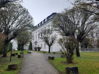 KFZ -Abstellplatz Schloss Traunegg P029, 34.99 €, Immobilien-Kleinobjekte & WGs in 4600 Thalheim bei Wels