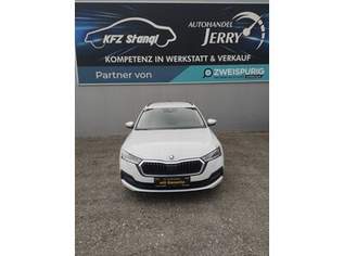 Octavia Ambition, 16390 €, Auto & Fahrrad-Autos in 8962 Politische Expositur Gröbming