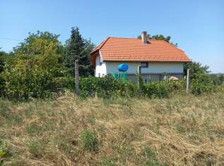 Ferienhaus in Ungarn Ferienhaus in Ungarn