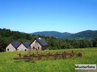 Traditionelles Bauernanwesen mit Wasserkraft, Stallungen, Holzhütte und eigener Kapelle, 1710000 €, Immobilien-Gewerbeobjekte in 4443 Maria Neustift