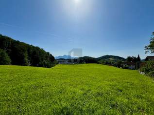 SUPER LAGE MIT POTENTIAL FÜR DIE ZUKUNFT!!, 700000 €, Immobilien-Grund und Boden in 5020 Salzburg