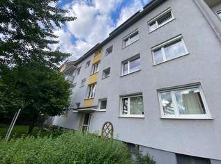 Schöne 1-Zimmer Wohnung in Ruhelage, 550 €, Immobilien-Wohnungen in Oberösterreich