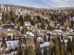 ALM-CHALET 1 - Freizeitwohnsitz in Toplage, 1195000 €, Immobilien-Häuser in 9564 Falkertsee