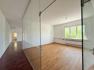 repräsentative Bürofläche oder Yogastudio, optional mit PKW oder LKW- Stellplätzen, 1647.57 €, Immobilien-Gewerbeobjekte in 2345 Brunn am Gebirge