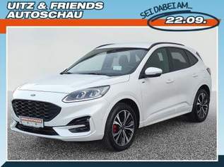 Kuga 2.0 EcoBlue AWD ST-Line X Aut., 38011 €, Auto & Fahrrad-Autos in 8330 Feldbach