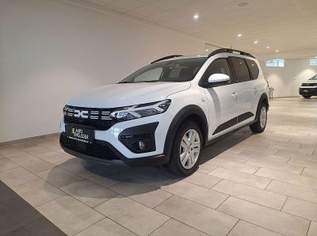 Jogger Expression Hybrid 140 5-sitzig, 22450 €, Auto & Fahrrad-Autos in 4142 Hofkirchen im Mühlkreis