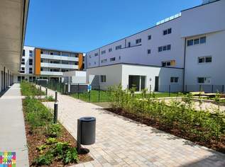 MIETKAUF IM GRÜNEN MAX! TOP LAGE!, 871.37 €, Immobilien-Wohnungen in 3100 Stattersdorf