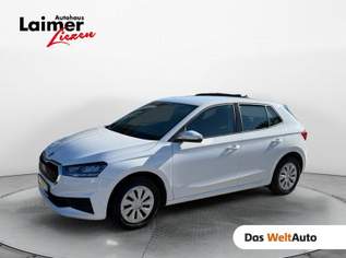 Fabia Ambition, 14890 €, Auto & Fahrrad-Autos in 8940 Liezen