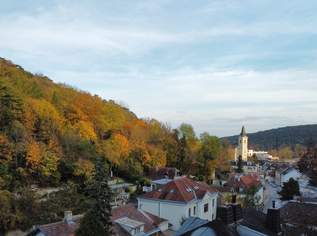 NATURLIEBHABER! Großer Baugrund in außergewöhnlicher Villen-Waldrandage am Rande des Lainzer Tiergartens! Naturschutzgebiet, 797000 €, Immobilien-Grund und Boden in 1230 Liesing