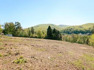 Baugrund mit Perspektive in sonniger Südhanglage – exklusives Grundstücksensemble, 485000 €, Immobilien-Grund und Boden in 3002 Purkersdorf Baugrund mit Perspektive in sonniger Südhanglage – exklusives Grundstücksensemble, 485000 €, Immobilien-Grund und Boden in 3002 Purkersdorf