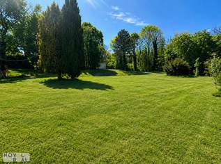 Top-Baugrundstück in Mauer mit beeindruckendem Panorama – Natur trifft Stadt!, 3450000 €, Immobilien-Grund und Boden in 1230 Liesing Top-Baugrundstück in Mauer mit beeindruckendem Panorama – Natur trifft Stadt!, 3450000 €, Immobilien-Grund und Boden in 1230 Liesing
