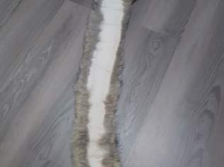 Wolfs-Stola Wolfs-Stola