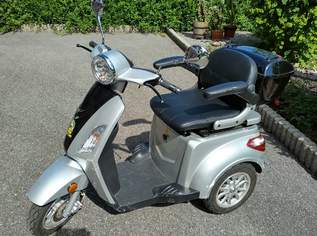E-Trike 3 Rad E-Mobil " PISA" Didi Thurau Edition , 990 €, Marktplatz-Beauty, Gesundheit & Wellness in 3345 Gemeinde Göstling an der Ybbs