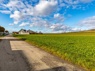 GROßZÜGIGES BAUGRUNDSTÜCK MIT HERRLICHEM AUSBLICK IN KLEINWILFERSDORF!, 205000 €, Immobilien-Grund und Boden in 2105 Kleinwilfersdorf