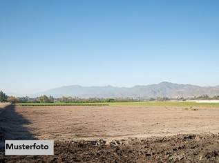 Landwirtschaftsfläche + provisionsfrei +, 4800 €, Immobilien-Grund und Boden in 8344 Bad Gleichenberg