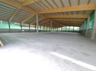 NEUBAU – Moderne Lagerfläche mit optimaler Anbindung!, 0 €, Immobilien-Gewerbeobjekte in 5202 Neumarkt am Wallersee