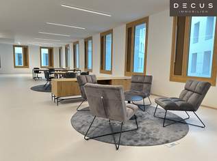 | ROBIN | Haus B | Inspired by Nature | Dachterrasse, 4830.75 €, Immobilien-Gewerbeobjekte in 1220 Donaustadt