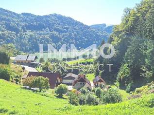 Baugrund 1.177 m² mit Donaublick - Südhang - mit angrenzenden kleinen Grünland 255 m² - St. Nikola, 44500 €, Immobilien-Grund und Boden in 4381 Sankt Nikola an der Donau