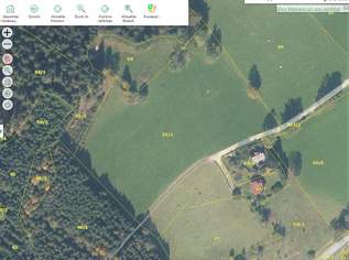 Grünland für Tierhaltung - Anlage - Nachhaltigkeit, 79615 €, Immobilien-Grund und Boden in 8674 Rettenegg