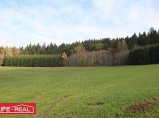 sonniges Grünland mit Wald, 191000 €, Immobilien-Grund und Boden in 4170 Sankt Oswald bei Haslach