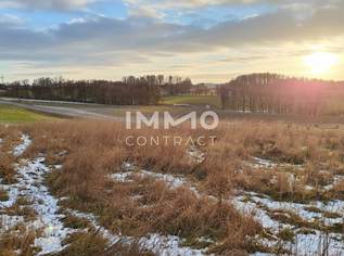 Baugrund mit 926 m² in bester Lage von Wieselburg-Stadt, 175940 €, Immobilien-Grund und Boden in 3250 Gemeinde Wieselburg