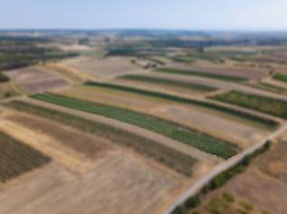Landwirtschaftliches Grundstück in der KG Bockfließ - 5681m2, 0 €, Immobilien-Gewerbeobjekte in 2213 Bockfließ Landwirtschaftliches Grundstück in der KG Bockfließ - 5681m2, 0 €, Immobilien-Gewerbeobjekte in 2213 Bockfließ