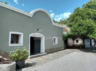 Weinkeller mit Haus, 595000 €, Immobilien-Gewerbeobjekte in 3495 Rohrendorf bei Krems