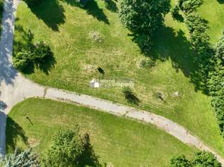 1000m² Baugrundstück - Anlage, dein neues Zuhause oder Bauprojekt!, 370000 €, Immobilien-Grund und Boden in 2433 Margarethen am Moos