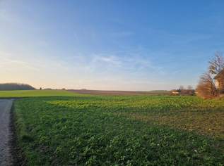 PROJEKTENTWICKLER AUFGEPASST: BAUBEWILLIGUNG FÜR ZWEI DOPPELHÄUSER INKLUDIERT: BAUEN UND WOHNEN MIT AUS- UND FERNBLICK DIREKT AN FELDER ANGRENZEND IM NAHBEREICH VON WIEN UND KORNEUBURG, 675000 €, Immobilien-Grund und Boden in 2105 Unterrohrbach PROJEKTENTWICKLER AUFGEPASST: BAUBEWILLIGUNG FÜR ZWEI DOPPELHÄUSER INKLUDIERT: BAUEN UND WOHNEN MIT AUS- UND FERNBLICK DIREKT AN FELDER ANGRENZEND IM NAHBEREICH VON WIEN UND KORNEUBURG, 675000 €, Immobilien-Grund und Boden in 2105 Unterrohrbach