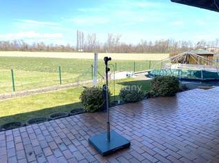 Ihr Rückzugsort im Grünen – wo Rehe vorbeischauen, 425000 €, Immobilien-Häuser in 2751 Steinabrückl Ihr Rückzugsort im Grünen – wo Rehe vorbeischauen, 425000 €, Immobilien-Häuser in 2751 Steinabrückl