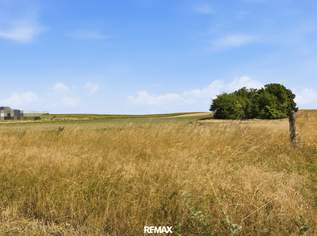Wald- und landwirtschaftliche Fläche mit 20 370 m² in Untermallebern zu verkaufen!, 203500 €, Immobilien-Grund und Boden in 2011 Untermallebarn Wald- und landwirtschaftliche Fläche mit 20 370 m² in Untermallebern zu verkaufen!, 203500 €, Immobilien-Grund und Boden in 2011 Untermallebarn