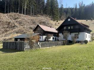 *** Charmantes teilsaniertes Landanwesen mit 10.978 m² Grund – Ruhe, Natur und vielseitige Nutzungsmöglichkeiten nur wenige Minuten zum grünen See ***, 248000 €, Immobilien-Häuser in 8612 Tal