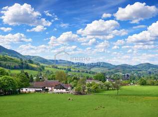 Mehrfamilienhaus mit großem Potenzial – attraktive Gelegenheit für Sanierungsprofis! Kaufpreis: € 145.000,– FIX, 145000 €, Immobilien-Häuser in 2571 Katastralgemeinde Altenmarkt an der Triesting Mehrfamilienhaus mit großem Potenzial – attraktive Gelegenheit für Sanierungsprofis! Kaufpreis: € 145.000,– FIX, 145000 €, Immobilien-Häuser in 2571 Katastralgemeinde Altenmarkt an der Triesting