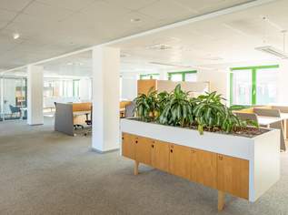 Großraumbüro, 7449.15 €, Immobilien-Gewerbeobjekte in 1220 Donaustadt