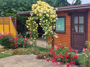 Wohn-Container mit Holz Verbau inkl. überdachter Gartenlaube auf einem ! Pachtgrund !, 18000 €, Immobilien-Gewerbeobjekte in 7161 Sankt Andrä am Zicksee Wohn-Container mit Holz Verbau inkl. überdachter Gartenlaube auf einem ! Pachtgrund !, 18000 €, Immobilien-Gewerbeobjekte in 7161 Sankt Andrä am Zicksee