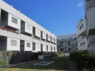 Unbefristete 3-Zimmer-Wohnung mit Loggia!, 737.65 €, Immobilien-Wohnungen in 1220 Donaustadt