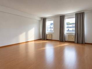 Geräumige 3-Zimmer Wohnung beim Hauptbahnhof - WG-geeignet, 379000 €, Immobilien-Wohnungen in 1100 Favoriten
