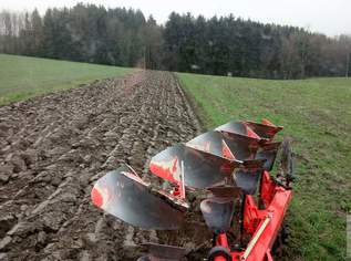 Gute Gelegenheit nahe Waizenkirchen für Landwirte! Schöner Acker, 0 €, Immobilien-Gewerbeobjekte in 4733 Andling