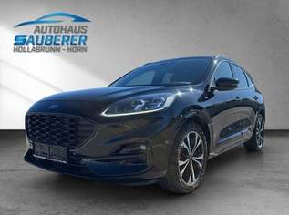 KUGA 2,0 Diesel *ST-Line X*, 17990 €, Auto & Fahrrad-Autos in Niederösterreich